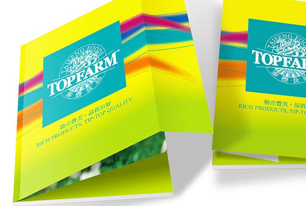 泰豐食品品牌設計—宣傳冊設計