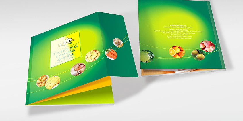 泰豐產品畫冊設計—畫冊封面展示