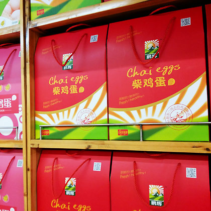 雞蛋包裝設計制作