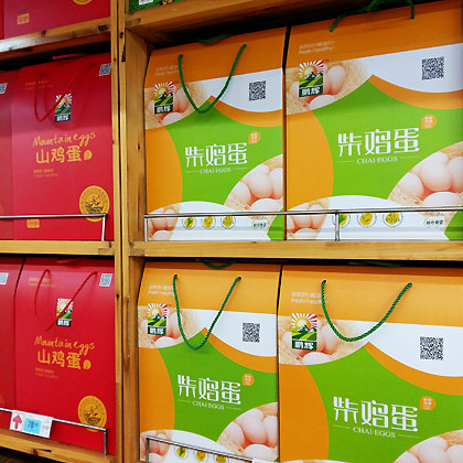 雞蛋包裝設計制作